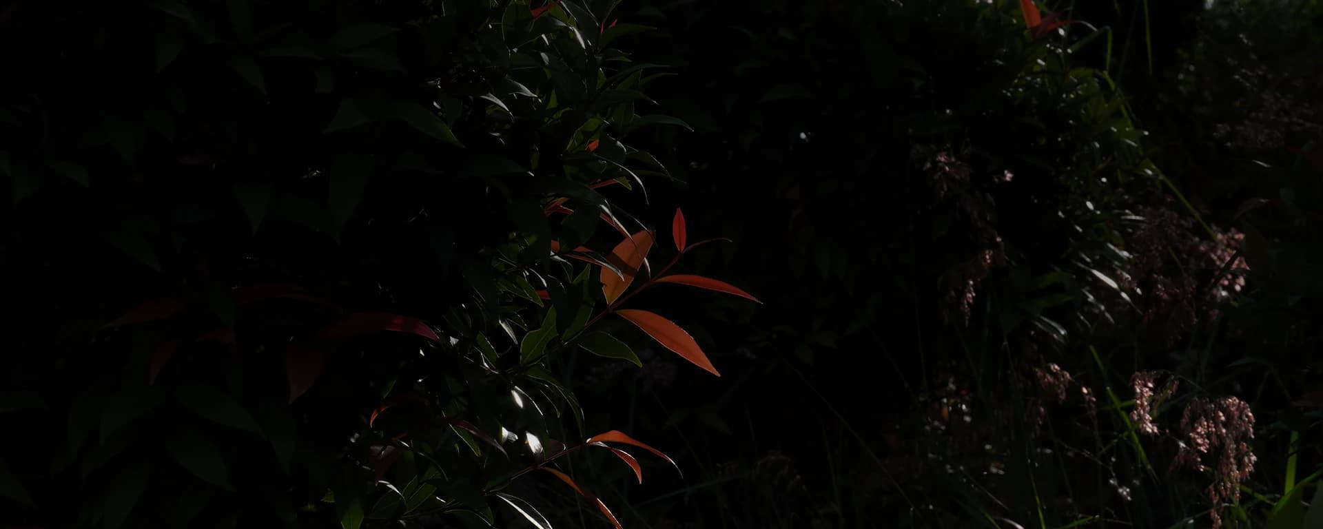 Contact Us Background